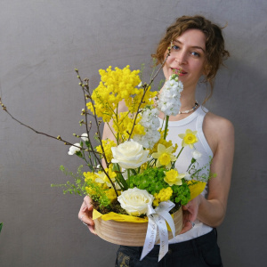 Нарциссы и мимоза в весенней композиции в кашпо "Золото весны"