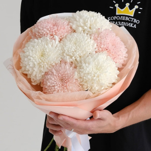 Вау! Сама нежность..Хризантемы сезонные, 7 штучек