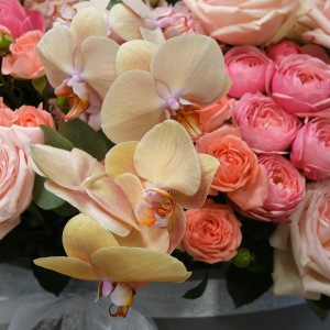 Авторская композиция в большой коробке: фаленопсис, пионовидные и ароматные розы Охара