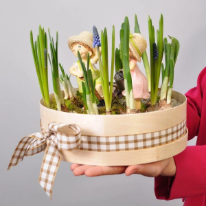 Садик с первоцветами: крокусы, мускари, нарциссы "Малыши в Саду"