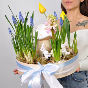 Садик с первоцветами: мускари, тюльпаны и гиацинты "Сказочный домик"