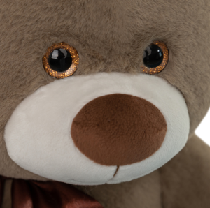 Медведь Фил бурый