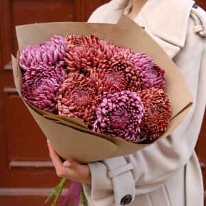 Хризантемы Бигуди, 9 штучек 