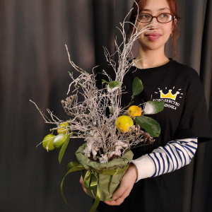 Уже собран! Снежный лимон в горшке