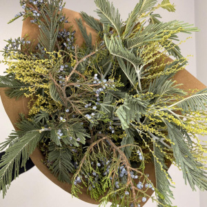 Можжевельник и мимоза: ароматный букет зелени для дома