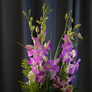 Орхидеи Дендробиум в сказочной композиции в ящичке