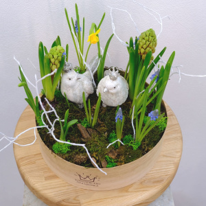 Садик с первоцветами: мускари и нарциссы в композиции "Ранние пташки"