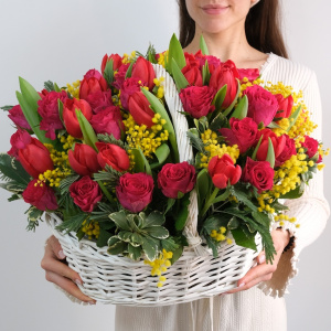 Розы и красные тюльпаны в корзине с итальянской мимозой "Солнечный восторг"