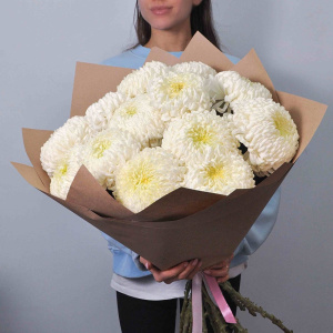 Хризантема сортовая крупная 15 штучек в крафте