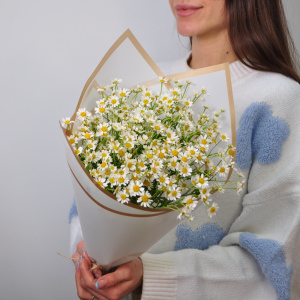 Душистые Ромашки, 11 штучек