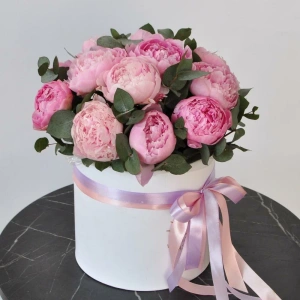 Пионы Сара Бернар, 15 штук в коробке