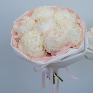 Белые пионы, 7 штучек