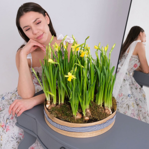 Садик с первоцветами: солнечные ароматные нарциссы в круглом ящике