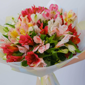 11 альстромерий