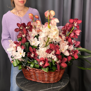 Орхидеи Цимбидиум в роскошной интерьерной корзине
