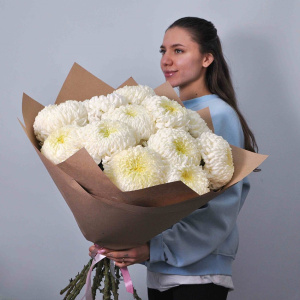 Хризантема сортовая крупная 15 штучек в крафте