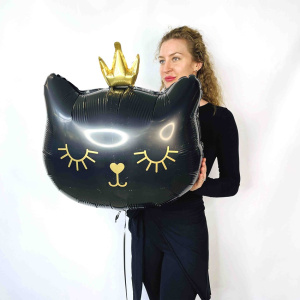 Сет шаров «Принцесса Кошка, с днём рождения!»