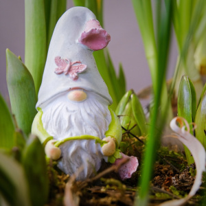 Садик с первоцветами: крокусы, тюльпаны и нарциссы "Весенний переполох"