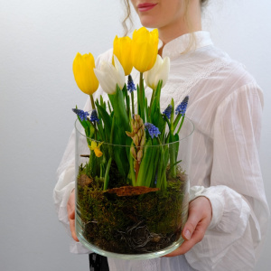 Садик с первоцветами: тюльпаны, мускари и нарциссы в стеклянной вазе