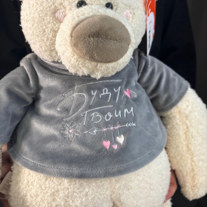 Мягкая игрушка медведь Тато