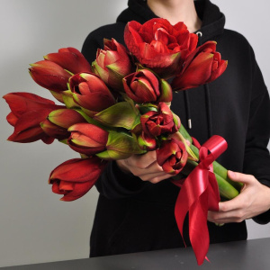 Амариллис, 7 штучек