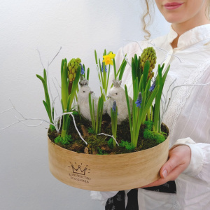 Садик с первоцветами: мускари и нарциссы в композиции "Ранние пташки"