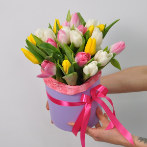 Тюльпаны в коробке, 25 штучек