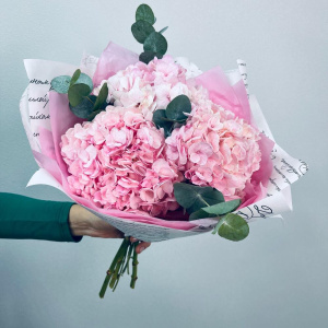 Розовые пушистые гортензии с эвкалиптом, 3 штучки