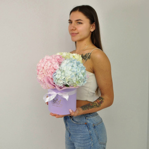 Пушистые гортензии в коробочке, 3 штучки