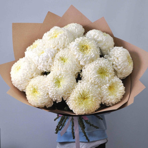 Хризантема сортовая крупная 15 штучек в крафте
