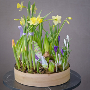 Садик с первоцветами: крокусы, тюльпаны и нарциссы "Весенний переполох"