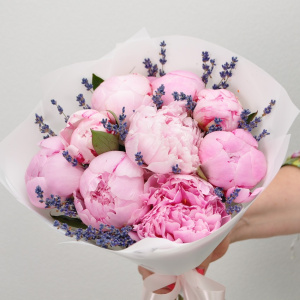 Пионы розовые Сара Бернар, 9 штучек с лавандой