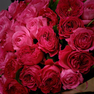 Красные пионовидные розы, 35 штучек в букете "Казанова"