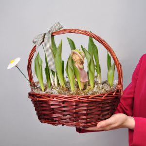 Садик с первоцветами: крокусы и тюльпаны в корзинке с сувенирами