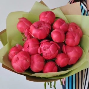 Вау! Коралловые пионы, 15 штучек