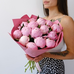 Пионы Сара Бернар, 15 штук