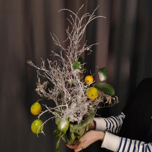 Уже собран! Снежный лимон в горшке