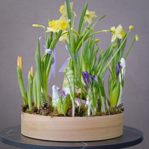 Садик с первоцветами: крокусы, тюльпаны и нарциссы "Весенний переполох"