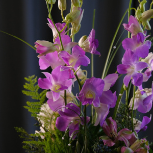 Орхидеи Дендробиум в сказочной композиции в ящичке