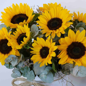 Подсолнухи в коробке «Подарю тебе Солнце»