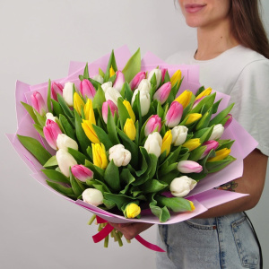 51 тюльпан - Микс Нежности (белый, желтый, розовый)