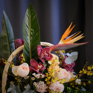 Корзина с экзотическими цветами "Императрица": орхидеи, стрелиция и пионовидные розы