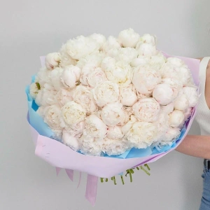 Белые пионы, 101 ароматные и крупные