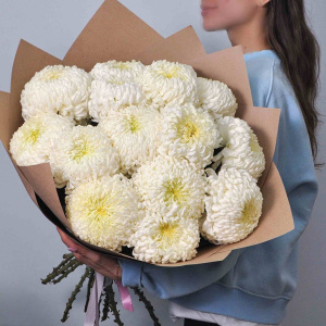 Хризантема сортовая крупная 15 штучек в крафте