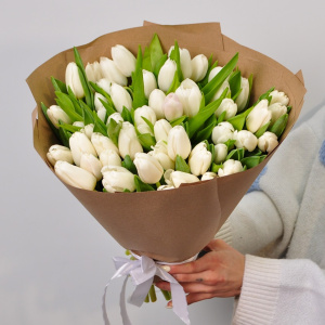 Белые тюльпаны, 49 штук