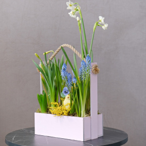 Цветущий садик в ящике: мускари, гиацинты и нарциссы с сувениром "Цыпочка"