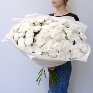 Хризантемы белые пушистые, 25 штучек
