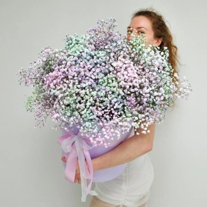 Гипсофила в огромной коробке