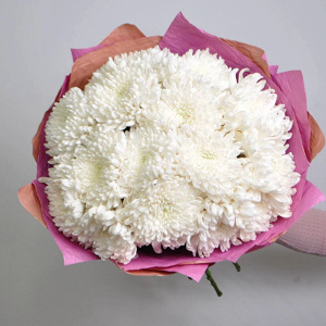 Белые хризантемы, 15 штучек