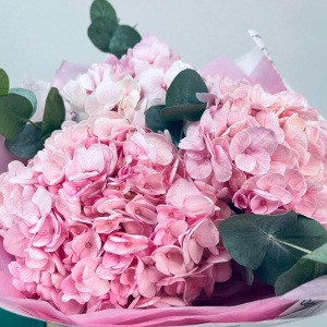 Розовые пушистые гортензии с эвкалиптом, 3 штучки